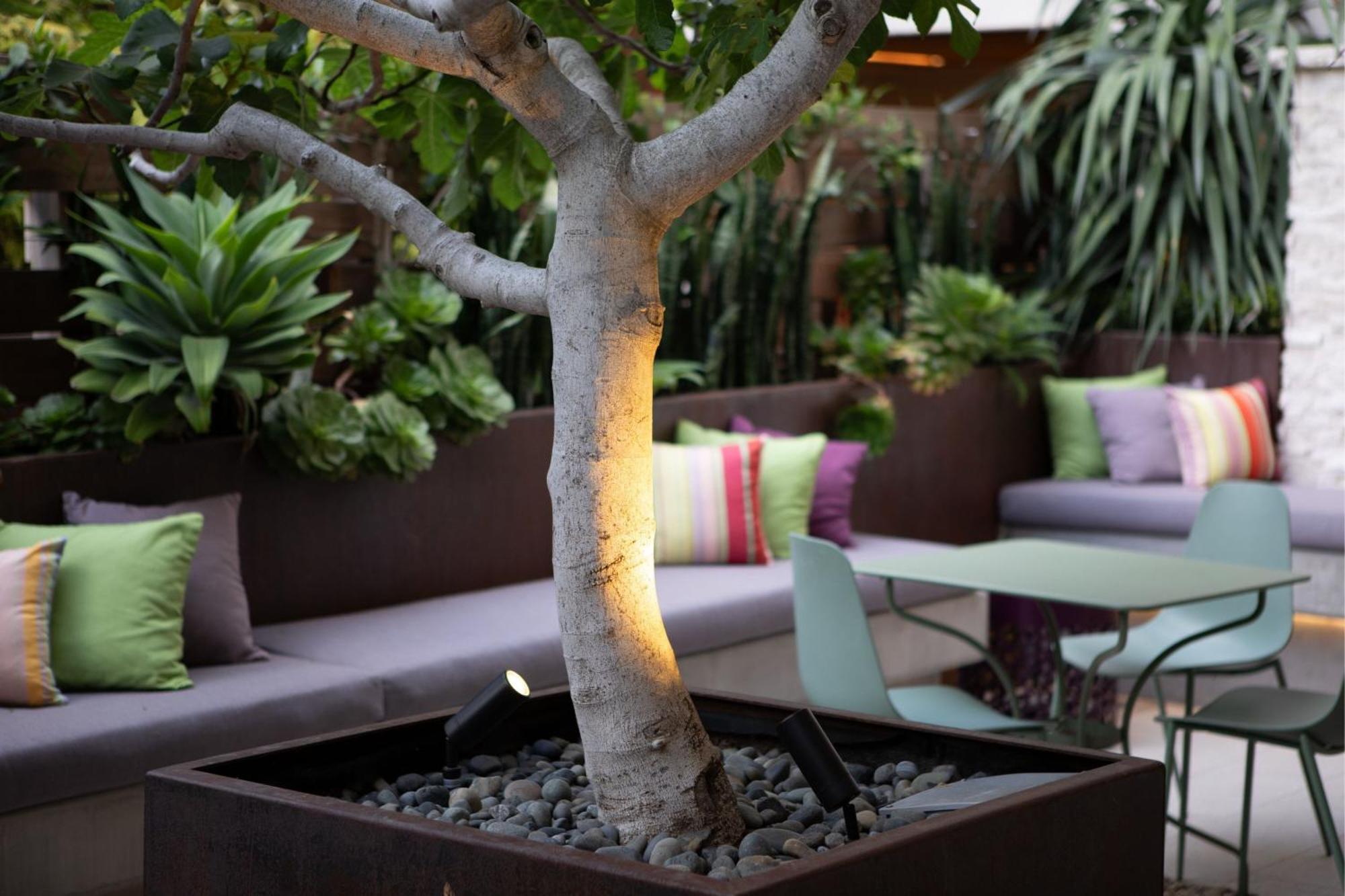 Hotel Cerro, Autograph Collection San Luis Obispo Ngoại thất bức ảnh